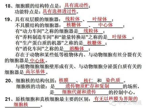 必修,基礎(chǔ)知識(shí),測(cè)試,高中生物