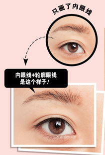 整形類基礎知識