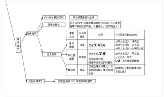 初中生物基礎(chǔ)知識大全