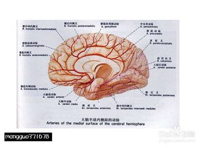樂理基礎(chǔ)知識試卷,置業(yè)顧問基礎(chǔ)知識試卷,基督教基礎(chǔ)知識試卷