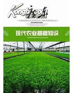 農(nóng)業(yè)基礎知識試題及答案,農(nóng)業(yè)種植基礎知識,農(nóng)業(yè)常識基礎知識