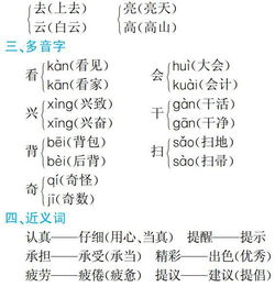 訓(xùn)練,基礎(chǔ),知識,分類