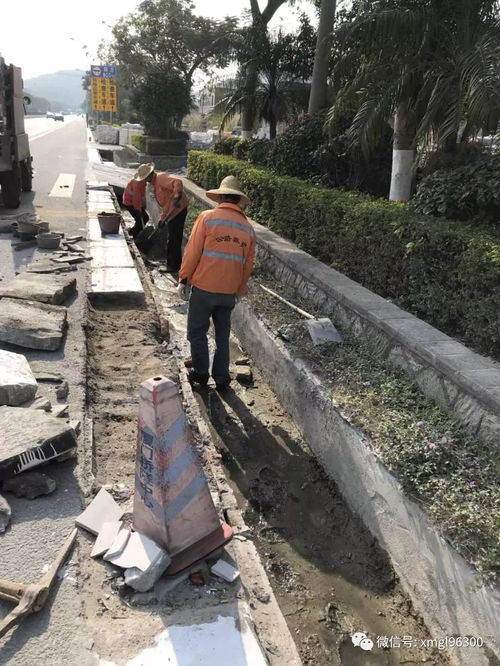 養(yǎng)護,基礎知識,日常,公路