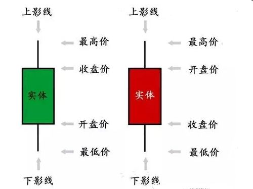 基礎(chǔ)知識(shí),外匯