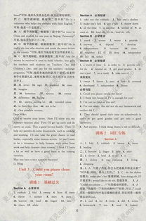組合,英語,基礎知識,八級