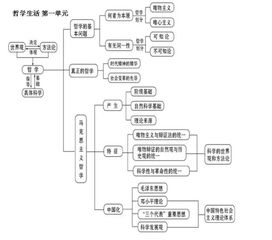 基礎(chǔ)知識,注重,高中政治,教學(xué)中