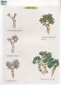 少兒國(guó)畫基礎(chǔ)知識(shí)