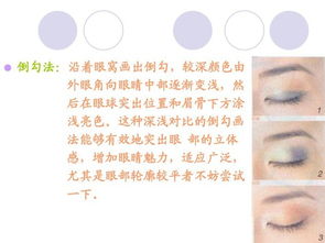 理論知識,化妝,基礎(chǔ)