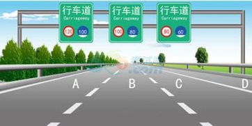 路通駕?？颇恳换A(chǔ)知識