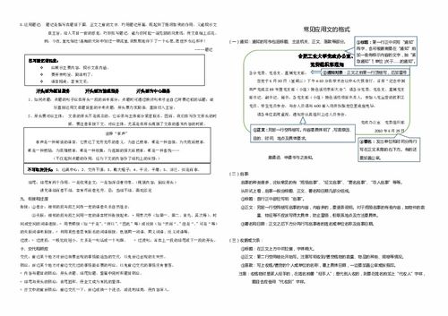 職業(yè)寫作基礎知識教案