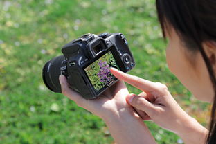 白話,基礎(chǔ)知識,單反相機