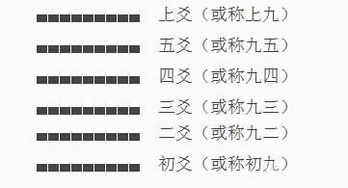 6爻基礎(chǔ)知識(shí)