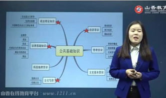 公共基礎(chǔ)知識17