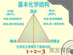 染發(fā)化學(xué)原理基礎(chǔ)知識(shí)