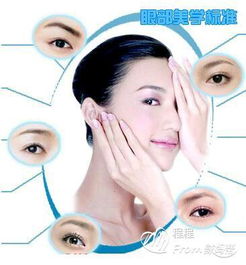 眼部美容基礎(chǔ)知識