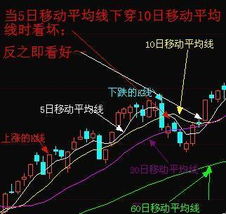 股票入門基礎(chǔ)知識問題