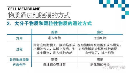 高中生物基礎知識梳理,高中生物基礎知識填空,高中生物基礎知識重點歸納