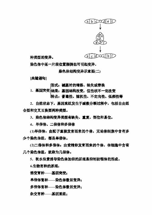 關(guān)于基礎(chǔ)知識(shí)的重要性的語句,學(xué)好基礎(chǔ)知識(shí)的重要性,基礎(chǔ)知識(shí)扎實(shí)的重要性
