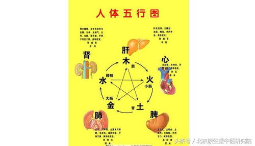 中醫(yī)藥基礎(chǔ)知識(shí)陰陽(yáng)五行學(xué)說