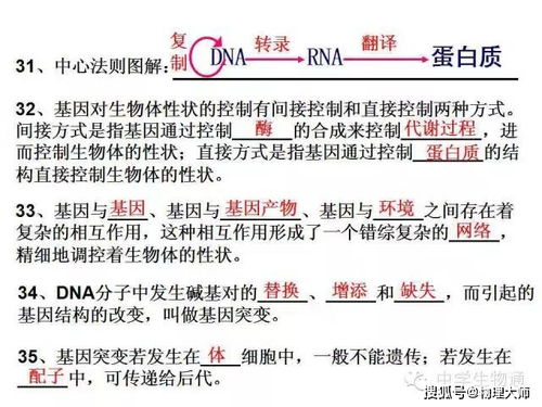魏華剛基礎(chǔ)知識(shí)篇一