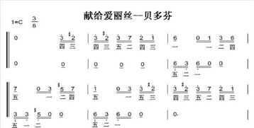樂譜基礎(chǔ)知識大得大得大得