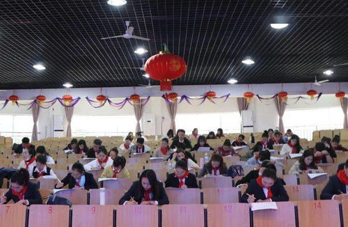 百度少先隊(duì)基礎(chǔ)專(zhuān)業(yè)知識(shí)