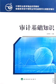 公安審計基礎(chǔ)知識