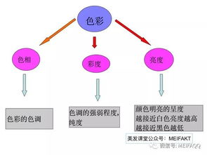 染發(fā)最基礎(chǔ)知識(shí)