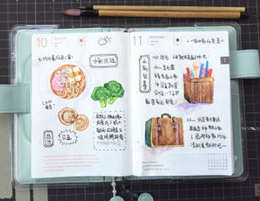 學(xué)設(shè)計應(yīng)該畫什么基礎(chǔ)知識