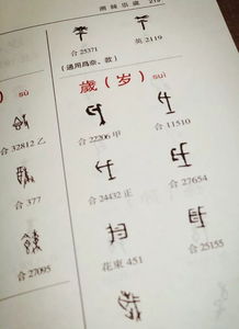 甲骨文,基礎(chǔ)知識,研究