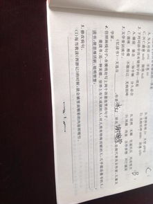 基礎(chǔ)知識,單元,語文