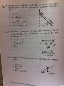 生活環(huán)?；A(chǔ)知識(shí)試題