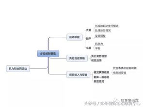 基本原理,基礎(chǔ)知識,思維,教育