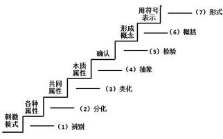 數(shù)學中的基礎(chǔ)知識概念