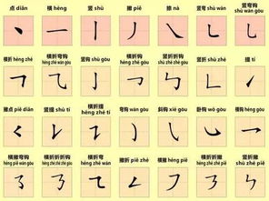 筆順,基礎(chǔ)知識,規(guī)則