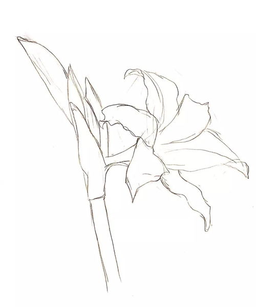 鉛筆畫技法基礎(chǔ)知識(shí)