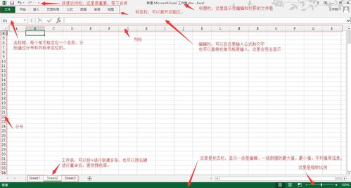 excel基礎(chǔ)知識考題