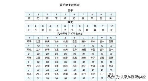 水墨先生的天干地支基礎知識