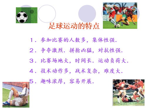 小學(xué)籃球基礎(chǔ)知識ppt,PPT基礎(chǔ)知識課件,皮膚基礎(chǔ)知識課件PPT