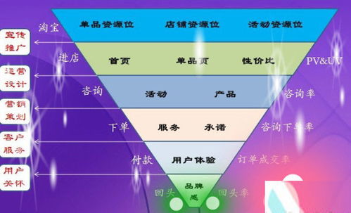 財(cái)務(wù)基礎(chǔ)知識(shí)及統(tǒng)計(jì)分析