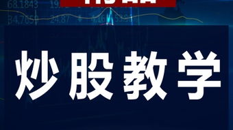 股票入門基礎(chǔ)知識(shí)電子書免費(fèi),股票入門基礎(chǔ)知識(shí)txt免費(fèi),股票入門基礎(chǔ)知識(shí)的書