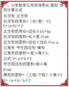 小學數(shù)學基礎(chǔ)知識大全,小學數(shù)學基礎(chǔ)知識總結(jié),小學數(shù)學基礎(chǔ)知識和基本技能