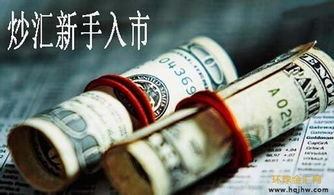 個(gè)人首次炒外匯的基礎(chǔ)知識