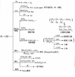 高中有機(jī)化學(xué)基礎(chǔ)知識,有機(jī)化學(xué)實驗基礎(chǔ)知識,有機(jī)化學(xué)基礎(chǔ)知識整理