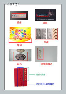 裝訂基礎(chǔ)知識(shí)