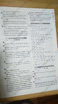 語文基礎(chǔ)知識題及答案,語文語法基礎(chǔ)知識,語文基礎(chǔ)知識題庫