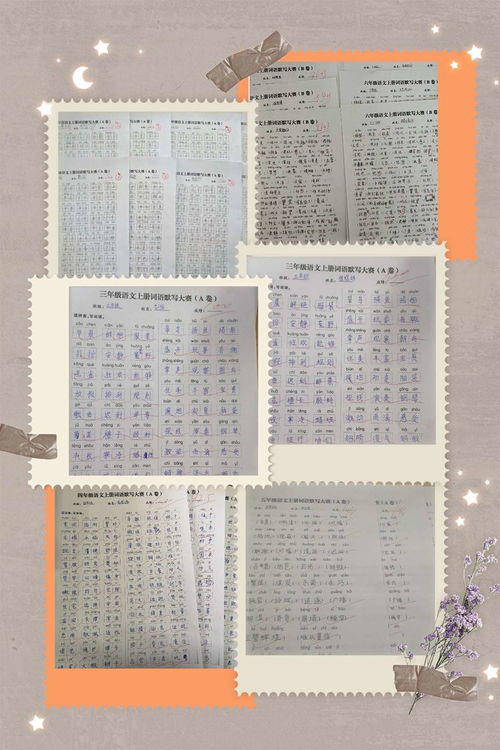 夯實語文基礎知識,提升語文能力,夯實語文基礎知識的教學需要做到,如何夯實語文基礎知識
