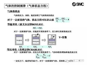 科目一理論基礎(chǔ)知識大全,駕考科目一理論基礎(chǔ)知識,科目一的基礎(chǔ)知識