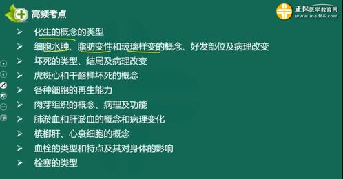 廣東醫(yī)學(xué)基礎(chǔ)知識(shí)考點(diǎn)