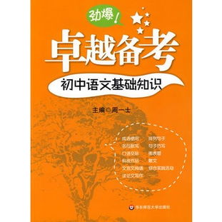 初中語文基礎知識考不了優(yōu)秀